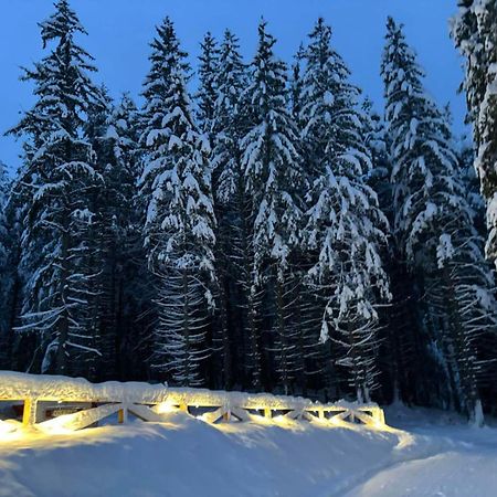 Hotel Algara Hut Panichishte Exterior foto